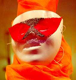 masqueNetR.jpg (9768 octets)
