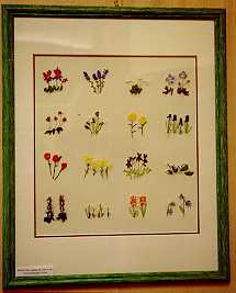 Wiers : Fleurs en soie