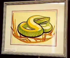 Exposition de Wiers : Serpent en Dentelle