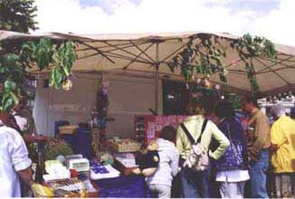 gene2.jpg (14098 octets)