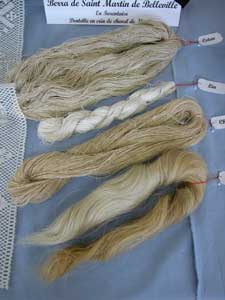 Alpe72.jpg (10256 octets)