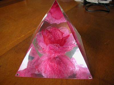 rose091.jpg (28493 octets)