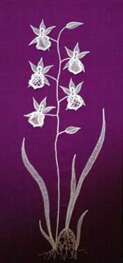 fleurrose_3648.jpg (7263 octets)