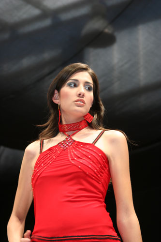 sebourg-det_6513.jpg (28218 octets)