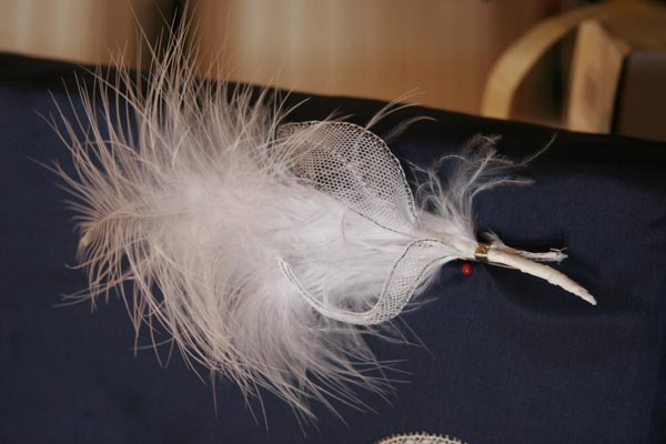 antoinette-det_9580.jpg (31896 octets)