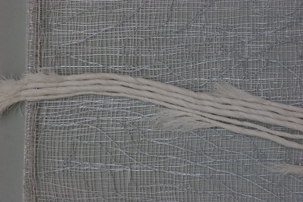 blanc-det_7169.jpg (68007 octets)