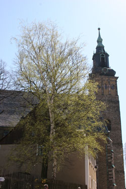 eglise_7008.jpg (28361 octets)