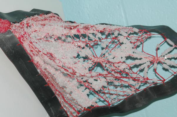 04-saline_det49.jpg (52853 octets)
