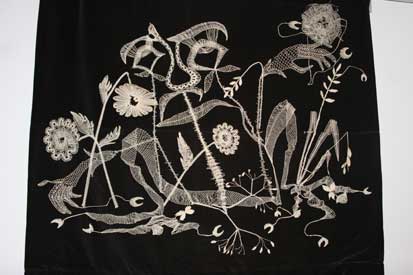 jana_0572.jpg (18619 octets)