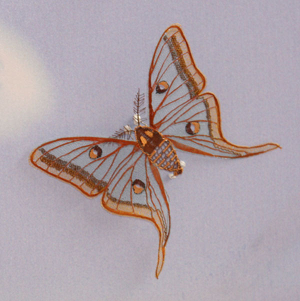 leffrinckoucke-det_0194.jpg (56034 octets)