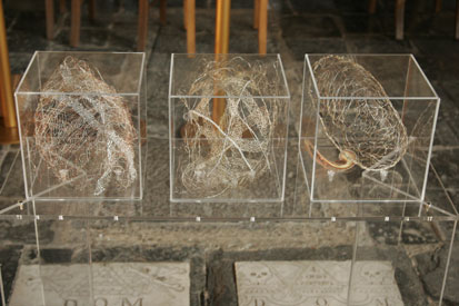 Bruggeman_0085.jpg (32677 octets)