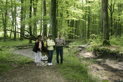 foret_0874.jpg (28043 octets)