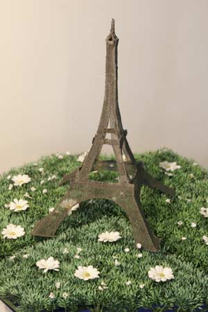 toureffeil_0036.jpg (20948 octets)