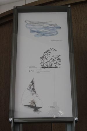 concours2_1687.jpg (13111 octets)
