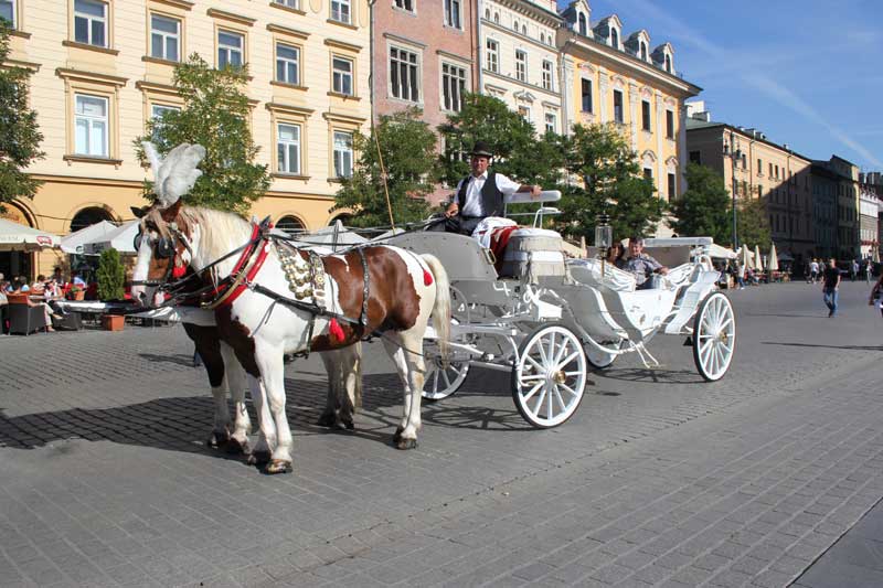 caleche-det_2666.jpg (72534 octets)