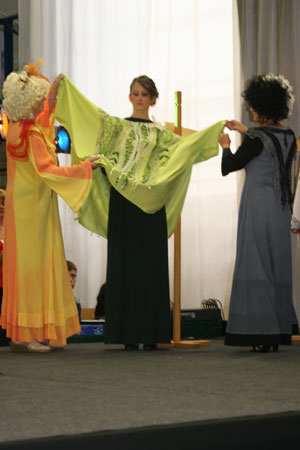 defile_0034.jpg (26071 octets)