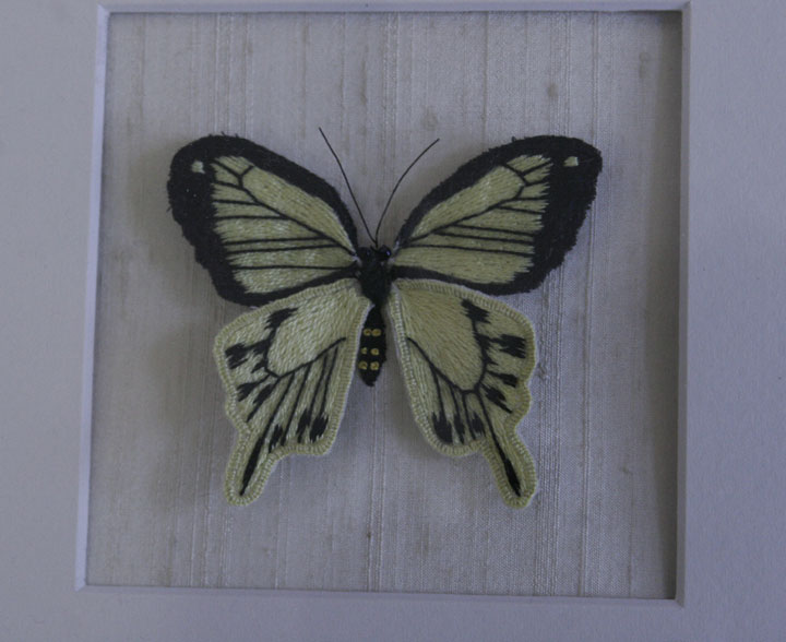 papillon-det_0991.jpg (61973 octets)