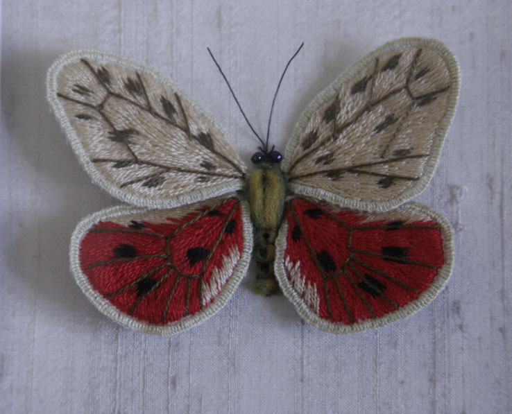papillon-det_0993.jpg (88256 octets)