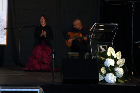 flamenco_0851.jpg (20573 octets)